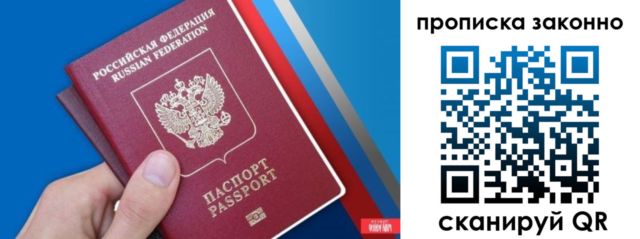 пропишу в квартире в Зеленоградске